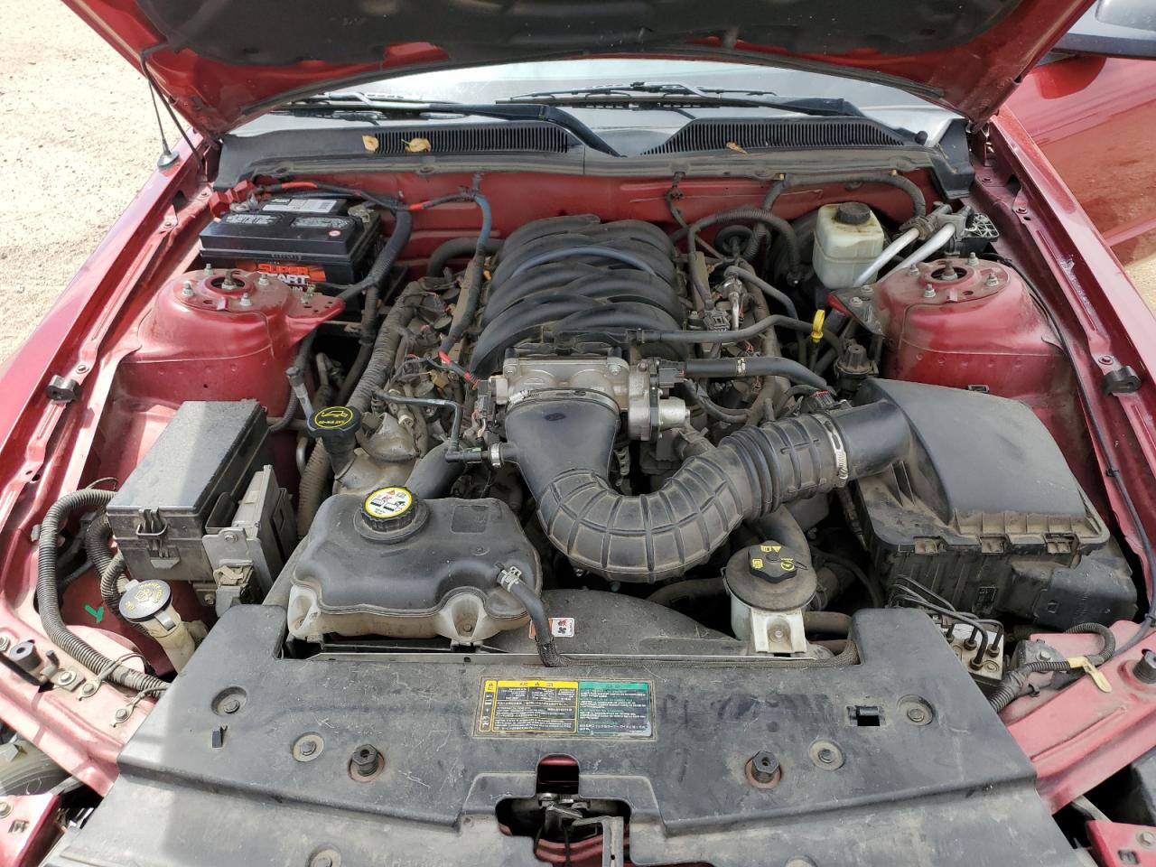 2006 Ford Mustang Gt VIN: 1ZVHT85H065216432 Lot: 67707625