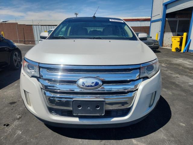 Parquets FORD EDGE 2013 Biały