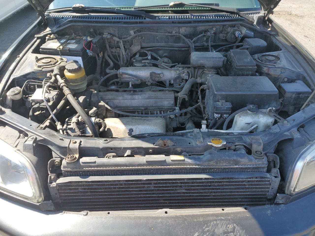 1998 Toyota Rav4 VIN: JT3HP10V3W7091396 Lot: 71218535