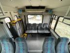 2013 IC CORPORATION 3000 - TRANSIT VEHICLES BUS for sale at Copart FL - TAMPA SOUTH
