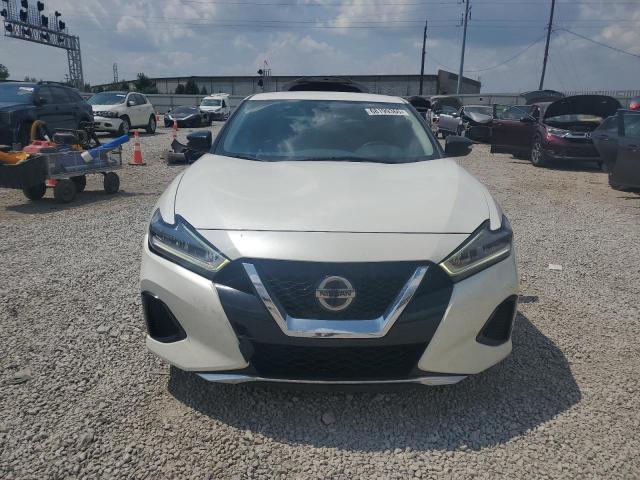  NISSAN MAXIMA 2019 Белы