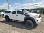 2010 TOYOTA TACOMA DOUBLE CAB LONG BED   for sale at Copart NB - MONCTON