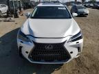 2025 LEXUS NX 250 BASE   à vendre chez Copart CA - LOS ANGELES
