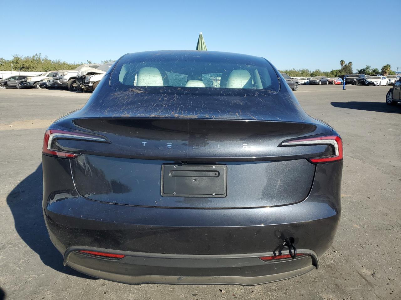 2025 Tesla Model 3 VIN: 5YJ3E1EA9SF051037 Lot: 69627685