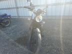 2024 TRIUMPH MOTORCYCLE SPEED TWIN 900   for sale at Copart WA - NORTH SEATTLE
