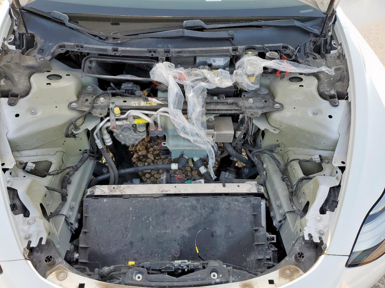 2020 Tesla Model 3 VIN: 5YJ3E1EA4LF597486 Lot: 68772065