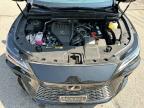 2025 LEXUS RX 350 BASE   for sale at Copart MA - NORTH BOSTON