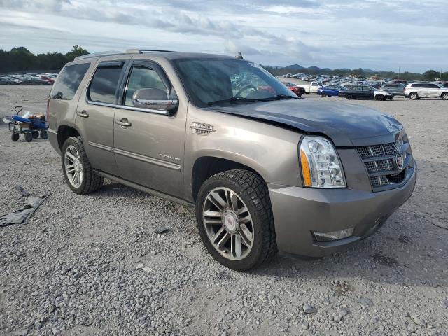 Parquets CADILLAC ESCALADE 2013 tan