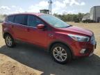 2019 FORD ESCAPE SE   à vendre chez Copart NJ - TRENTON