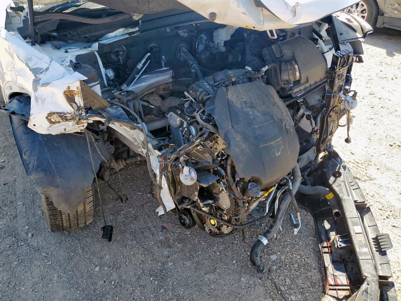 2023 Kia Telluride Sx VIN: 5XYP54GCXPG389001 Lot: 69572625