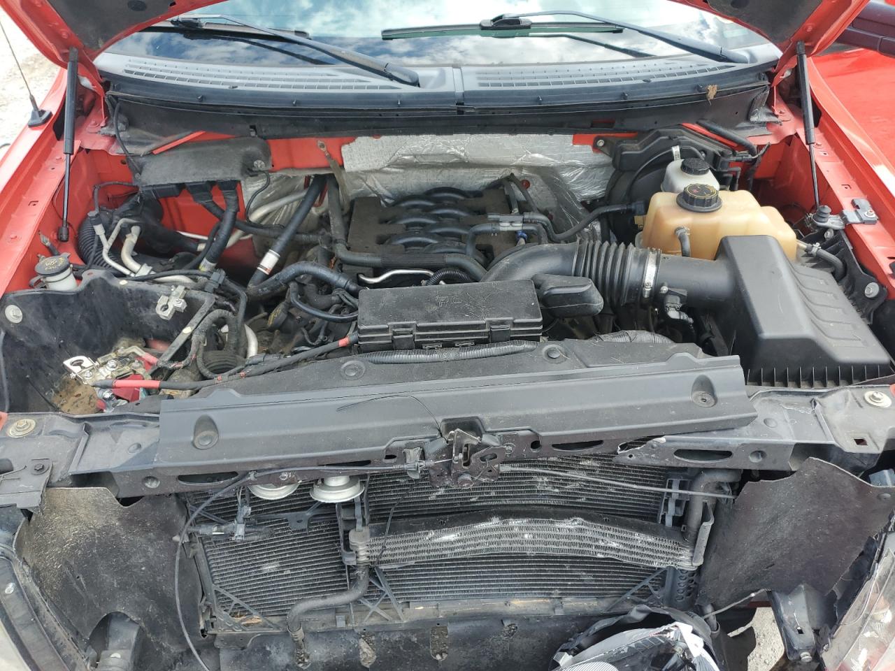 2011 Ford F150 Super Cab VIN: 1FTFX1EF9BFB31369 Lot: 67442995