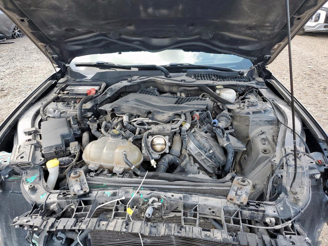 2019 Ford Mustang Gt VIN: 1FA6P8CFXK5192530 Lot: 68644825