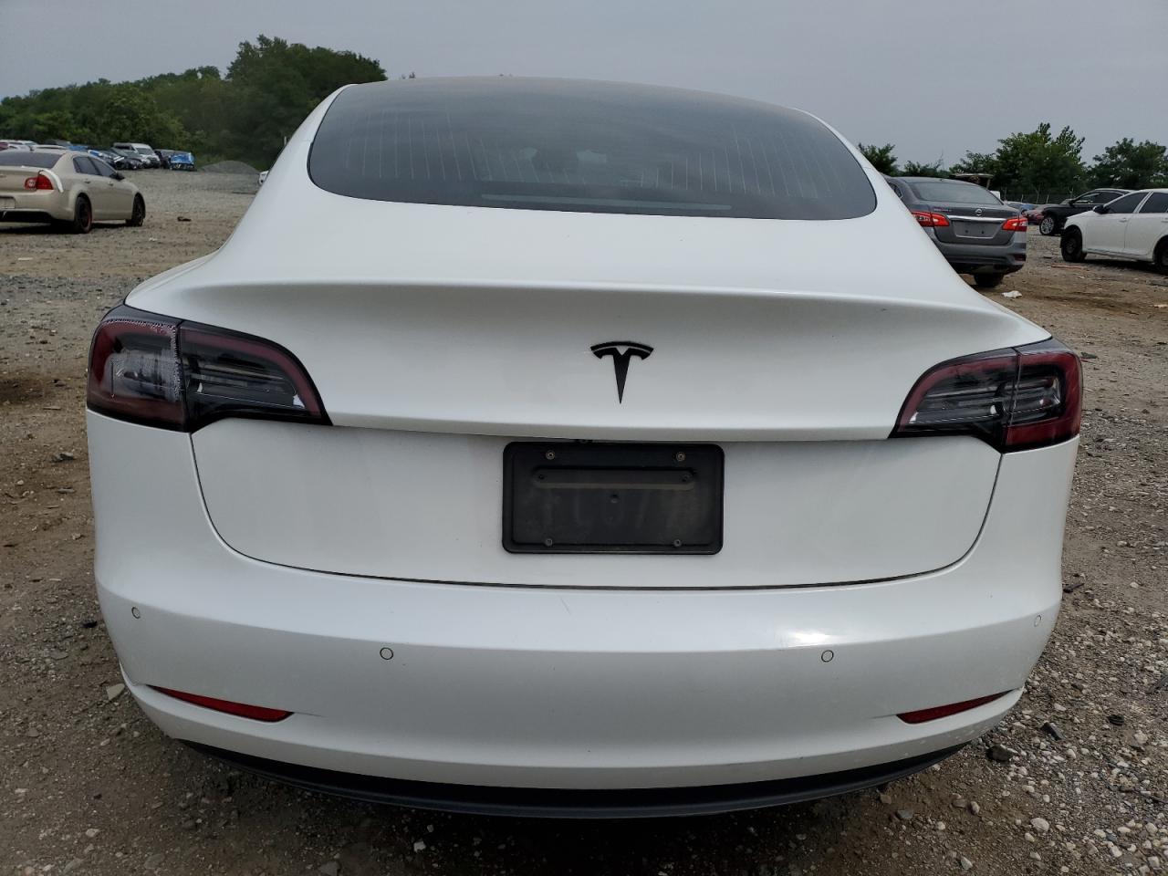 2020 Tesla Model 3 VIN: 5YJ3E1EA5LF504197 Lot: 67213185