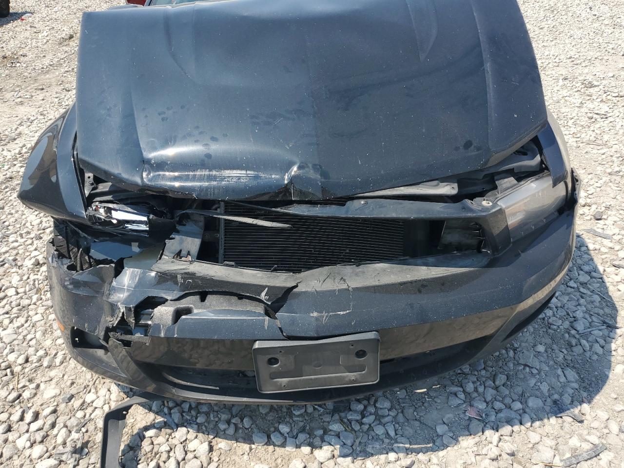 2012 Ford Mustang VIN: 1ZVBP8AM5C5257745 Lot: 69005815