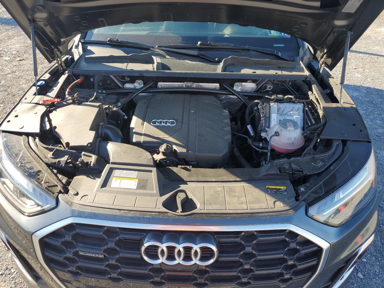 2022 Audi Q5 Premium Plus 45 VIN: WA1EAAFYXN2067295 Lot: 70291215