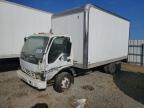 2006 ISUZU NPR à vendre chez Copart CA - NAPA