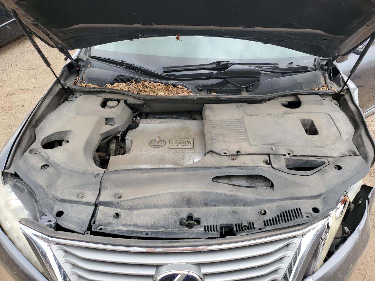 2013 Lexus Rx 450H VIN: JTJBC1BA7D2438209 Lot: 69219335