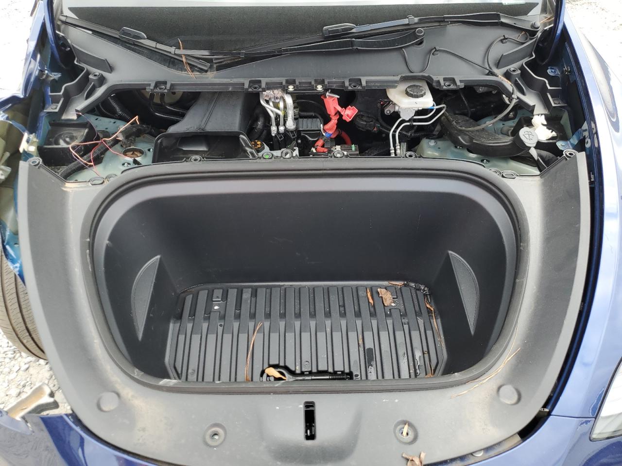 2024 Tesla Model Y VIN: 7SAYGDEE2RA327301 Lot: 69677385