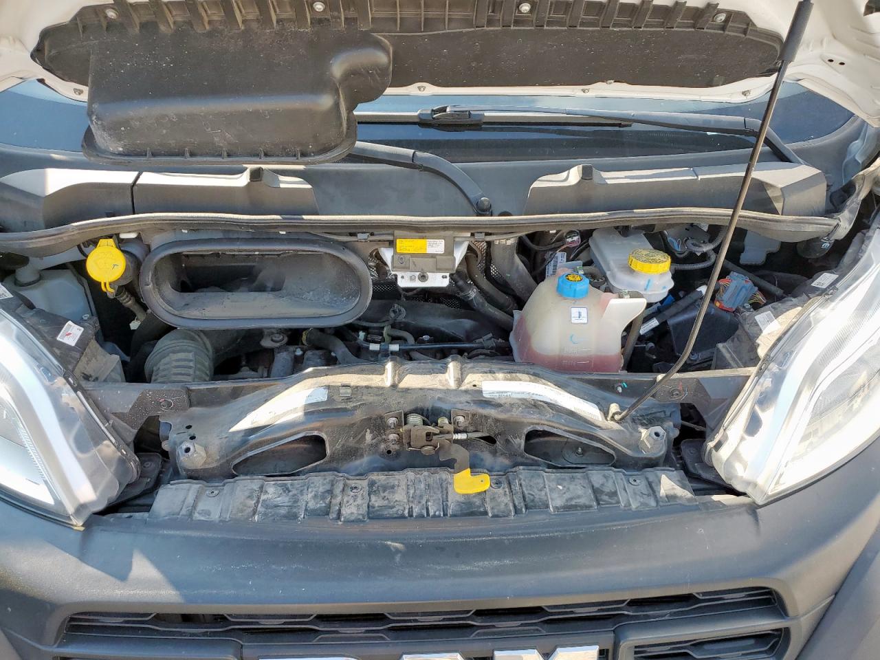 2023 Ram Promaster 2500 2500 High VIN: 3C6LRVDG3PE524310 Lot: 68162755