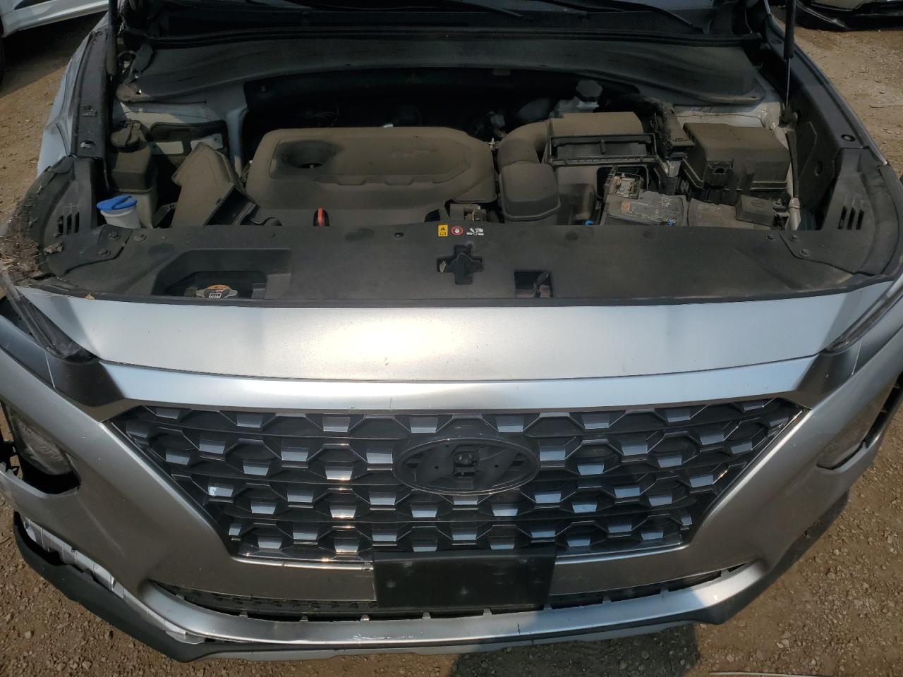 2020 Hyundai Santa Fe Sel VIN: 5NMS3CAD9LH262736 Lot: 67352485