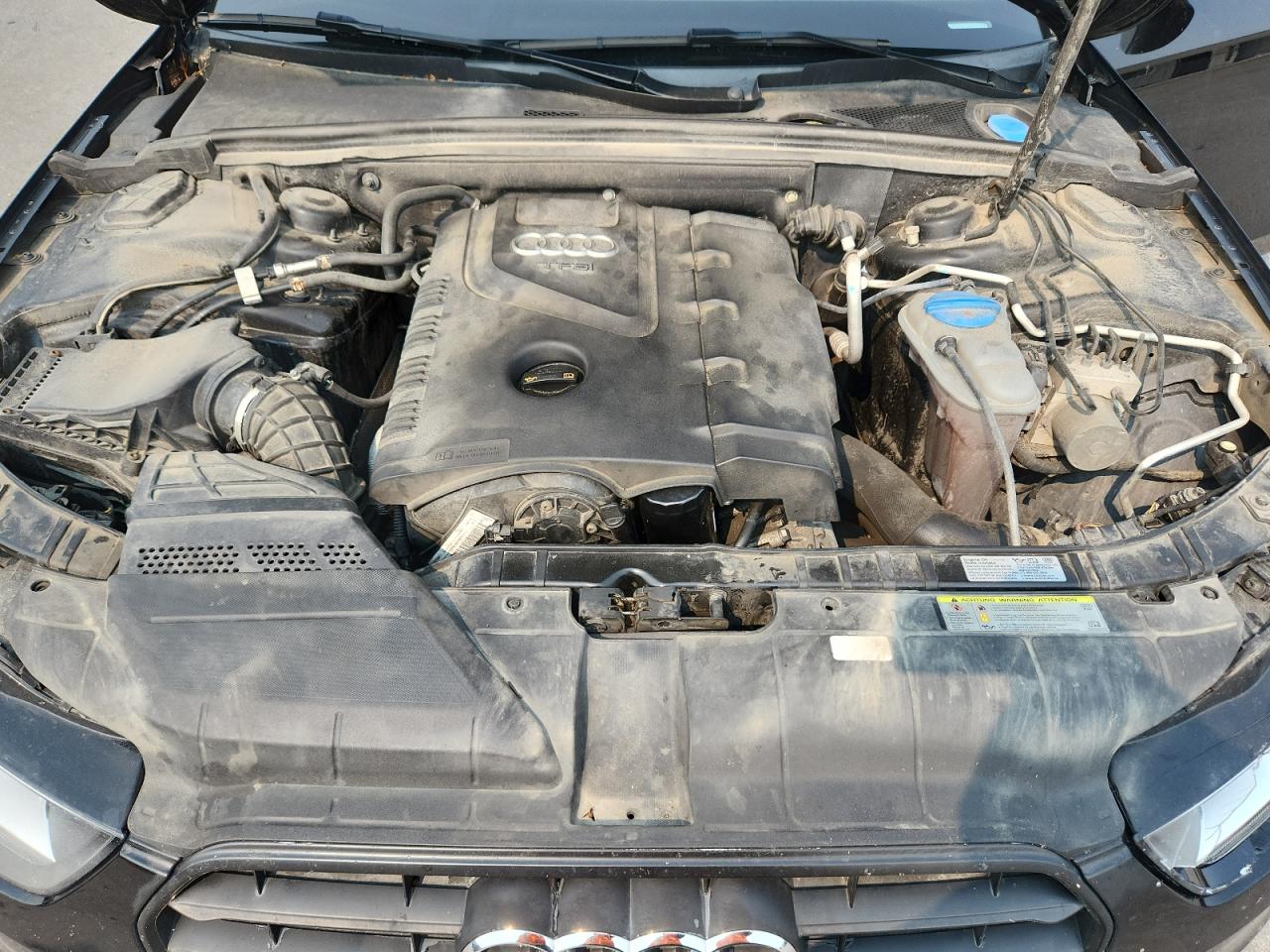 2013 Audi A4 Premium VIN: WAUBFAFL5DN032379 Lot: 66875365