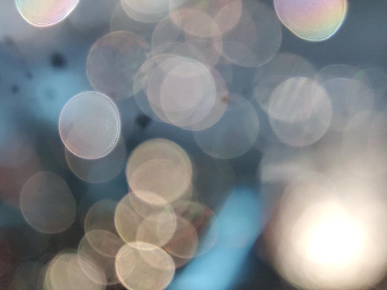 2023 Tesla Model 3 VIN: 5YJ3E1EA8PF589655 Lot: 70014085