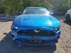 2019 FORD MUSTANG    for sale at Copart ON - COOKSTOWN