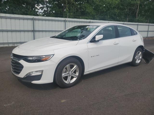  CHEVROLET MALIBU 2024 White