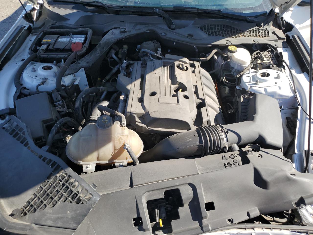 2018 Ford Mustang VIN: 1FA6P8TH9J5145022 Lot: 67959655