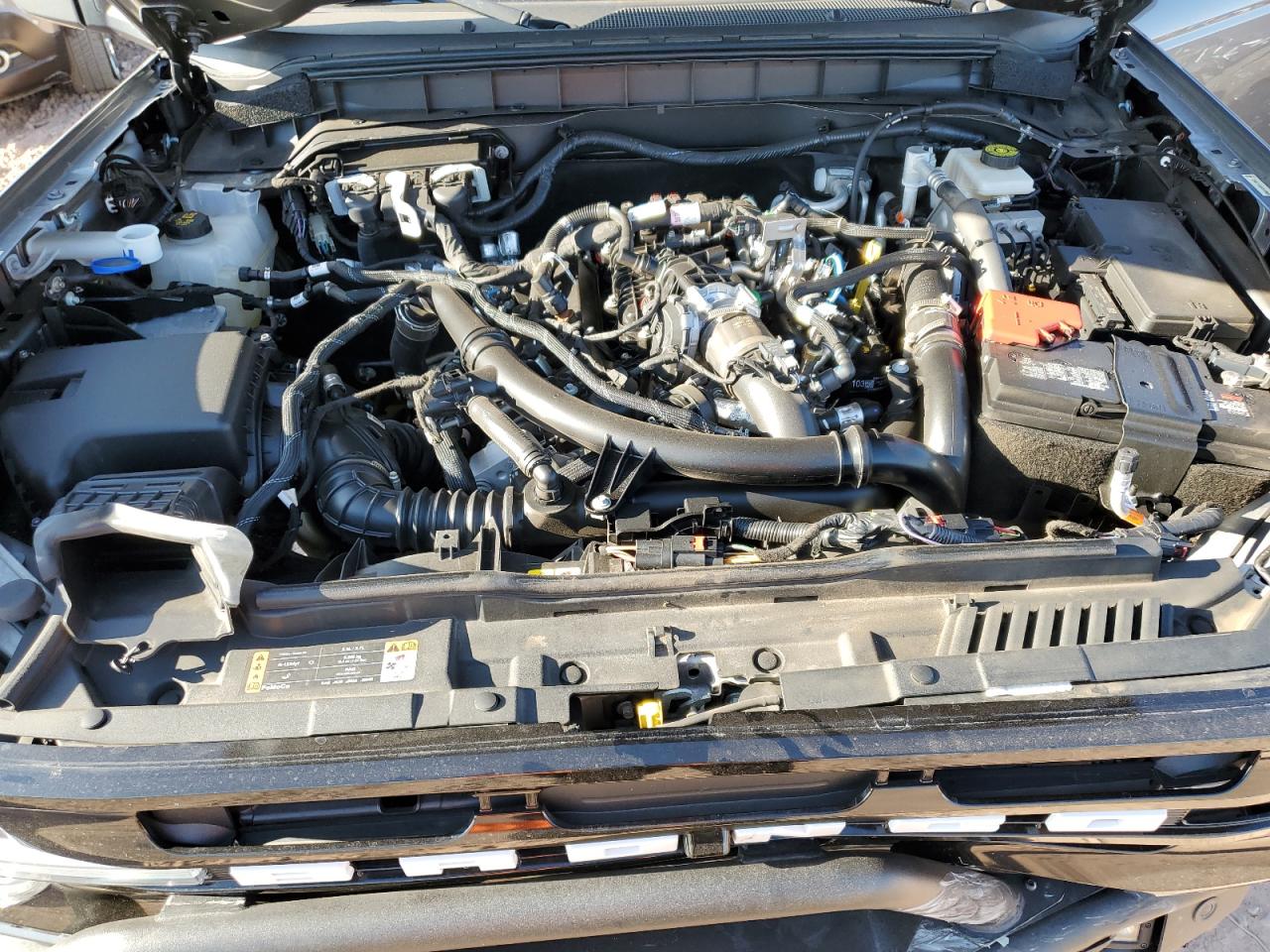 2023 Ford Bronco Base VIN: 1FMEE5DP9PLC19572 Lot: 67783595