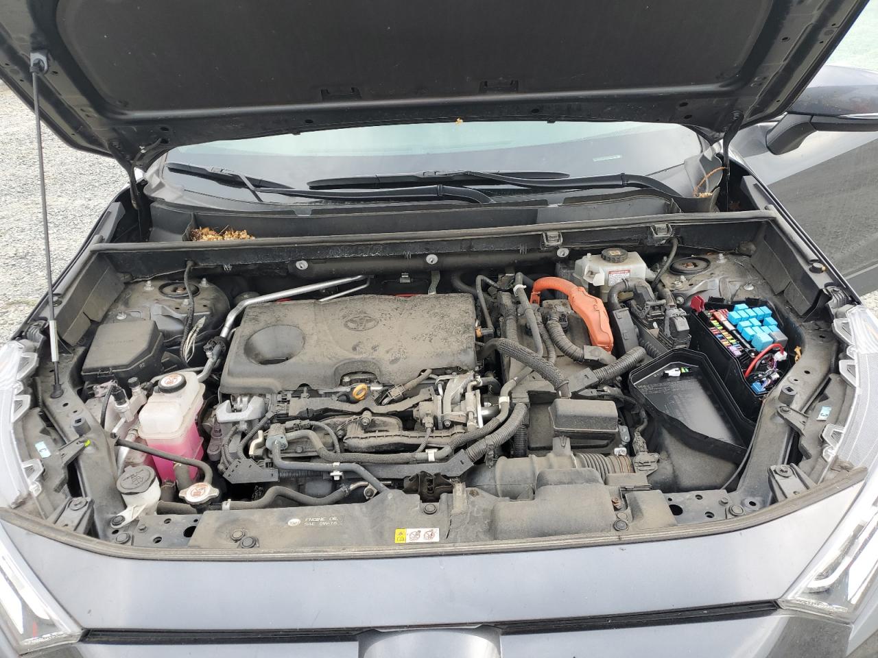 2021 Toyota Rav4 Xle Premium VIN: 2T3B6RFV2MW007838 Lot: 70959945