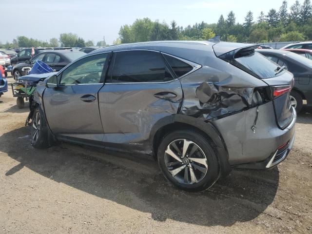 2021 LEXUS NX 300H BASE  