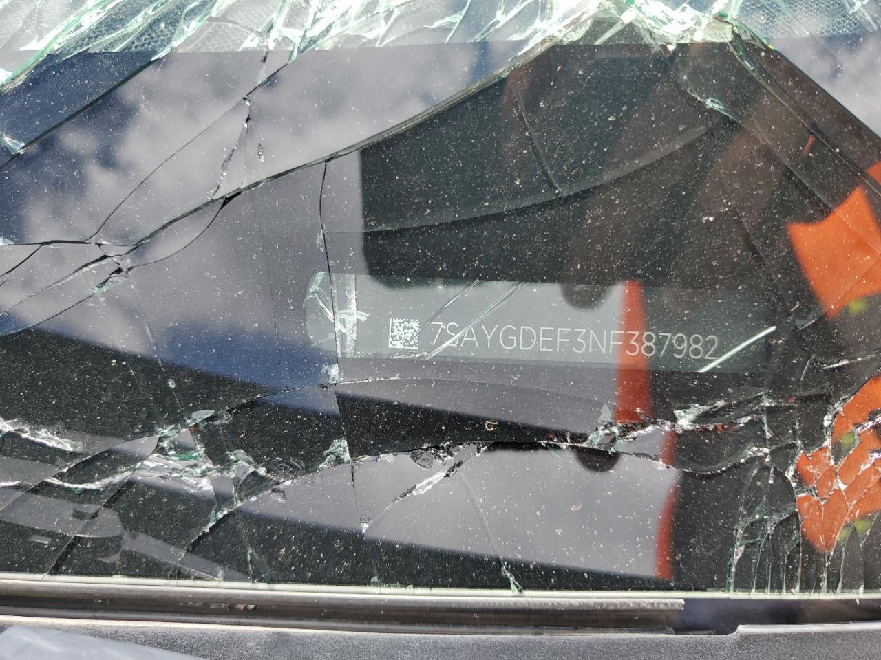 2022 Tesla Model Y VIN: 7SAYGDEF3NF387982 Lot: 69245005