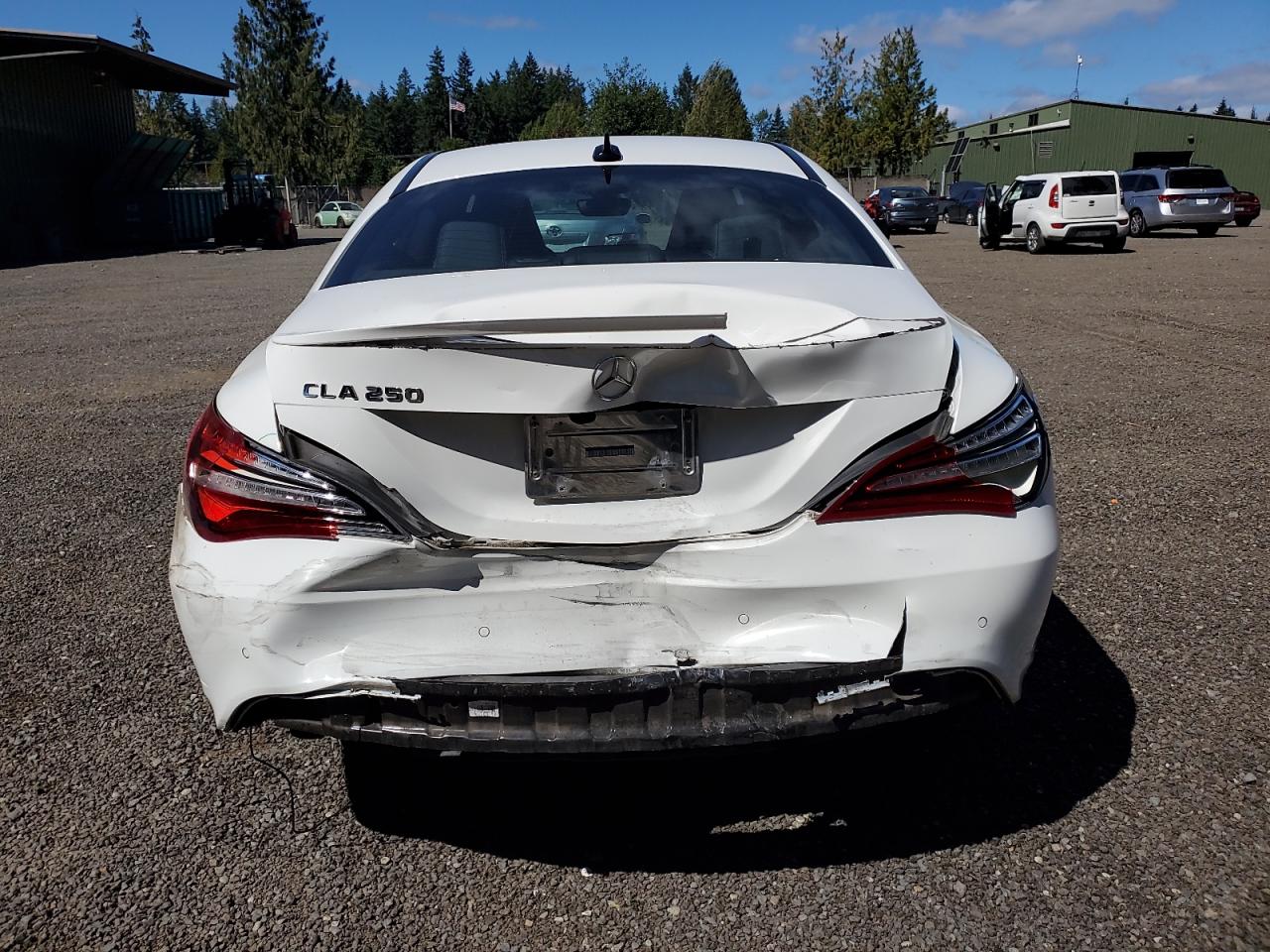 2019 Mercedes-Benz Cla 250 VIN: WDDSJ4EBXKN772900 Lot: 68322455