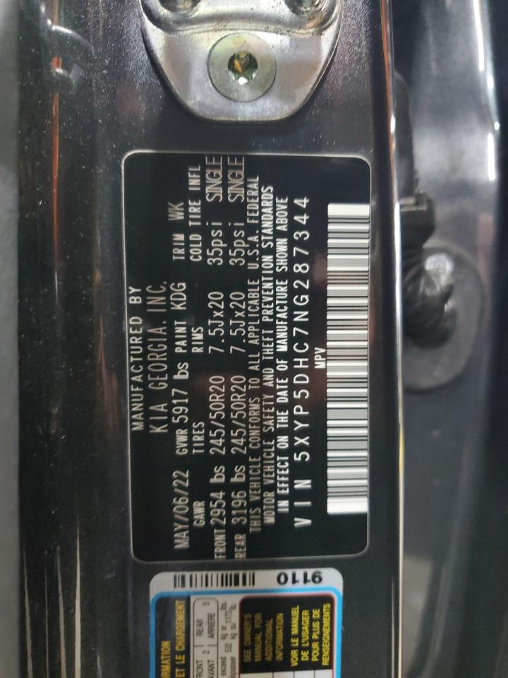 2022 Kia Telluride Sx VIN: 5XYP5DHC7NG287344 Lot: 67871005