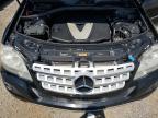 2010 MERCEDES-BENZ ML 350 BLUETEC   for sale at Copart FL - TAMPA SOUTH