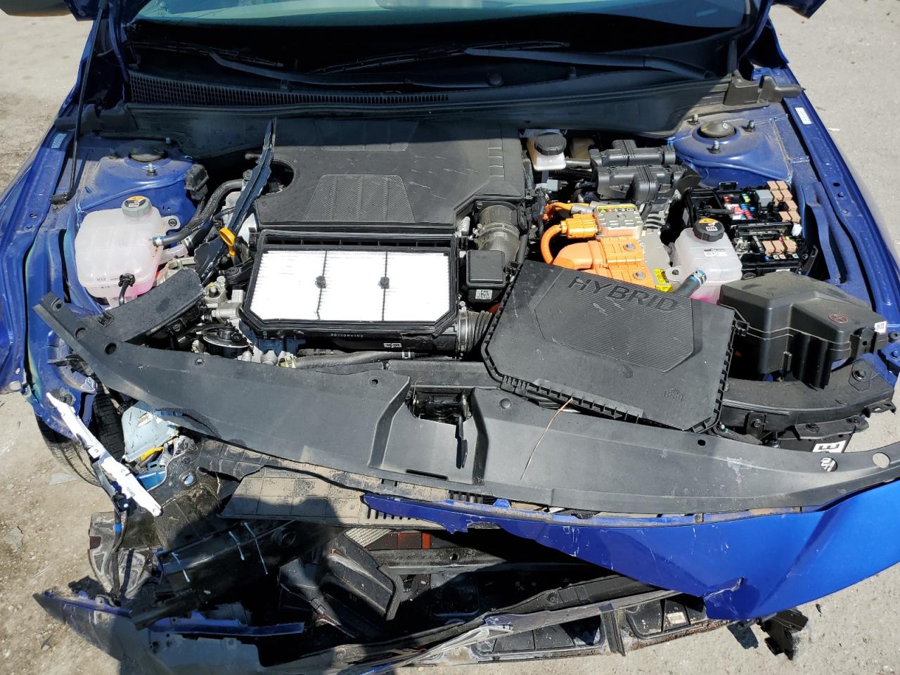 2024 Hyundai Elantra Blue VIN: KMHLM4DJ1RU102470 Lot: 69664545