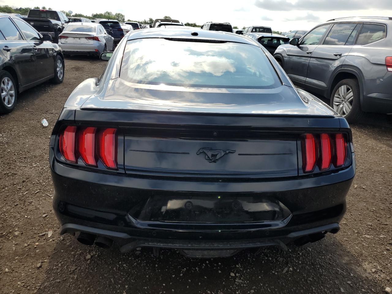 2019 Ford Mustang VIN: 1FA6P8TH4K5201028 Lot: 68026735