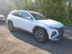 2025 HYUNDAI TUCSON SEL CONVENIENCE   for sale at Copart ON - COOKSTOWN