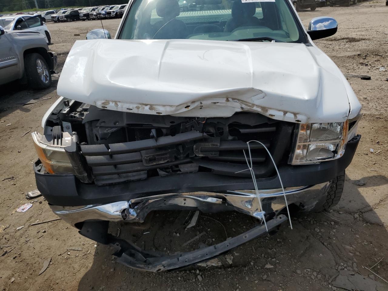 2013 GMC Sierra C1500 VIN: 1GTN1TEX8DZ271710 Lot: 67578765