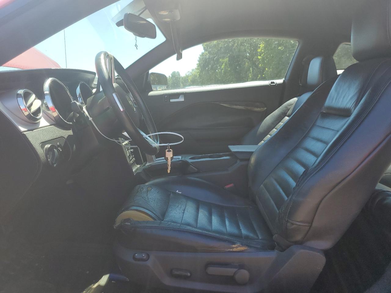 2009 Ford Mustang Gt VIN: 1ZVHT82H695101939 Lot: 69782645