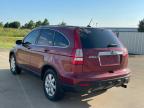 2008 HONDA CR-V EXL   à vendre chez Copart OK - OKLAHOMA CITY