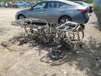 2020 KAWASAKI KVF750 BRUTE FORCE 4X4I EPS à vendre chez Copart NB - MONCTON