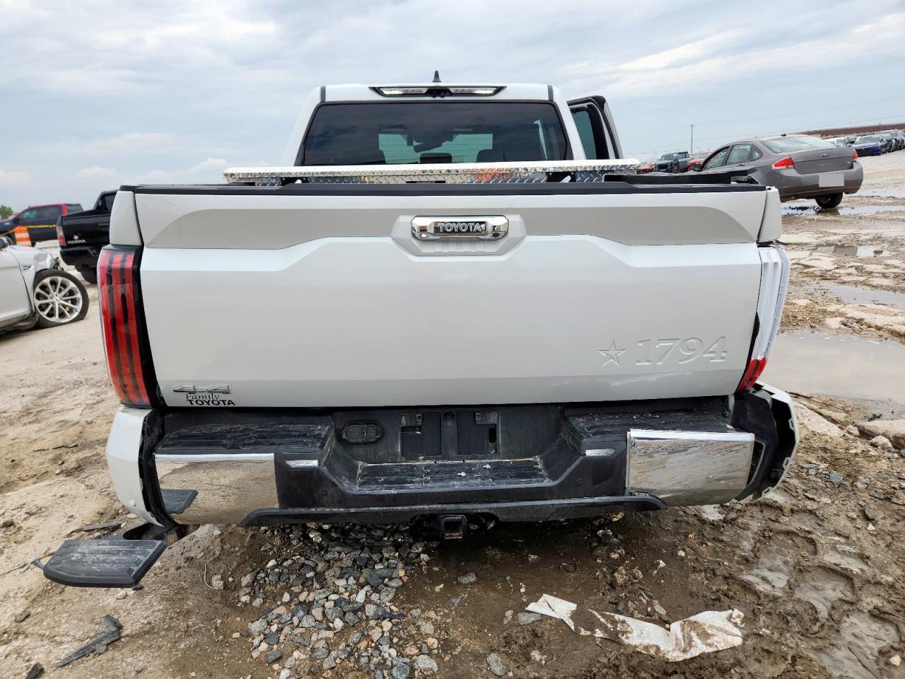 2025 Toyota Tundra Crewmax Platinum VIN: 5TFMA5DB1SX239431 Lot: 69703135