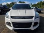 2016 FORD ESCAPE TITANIUM   à vendre chez Copart CT - HARTFORD SPRINGFIELD