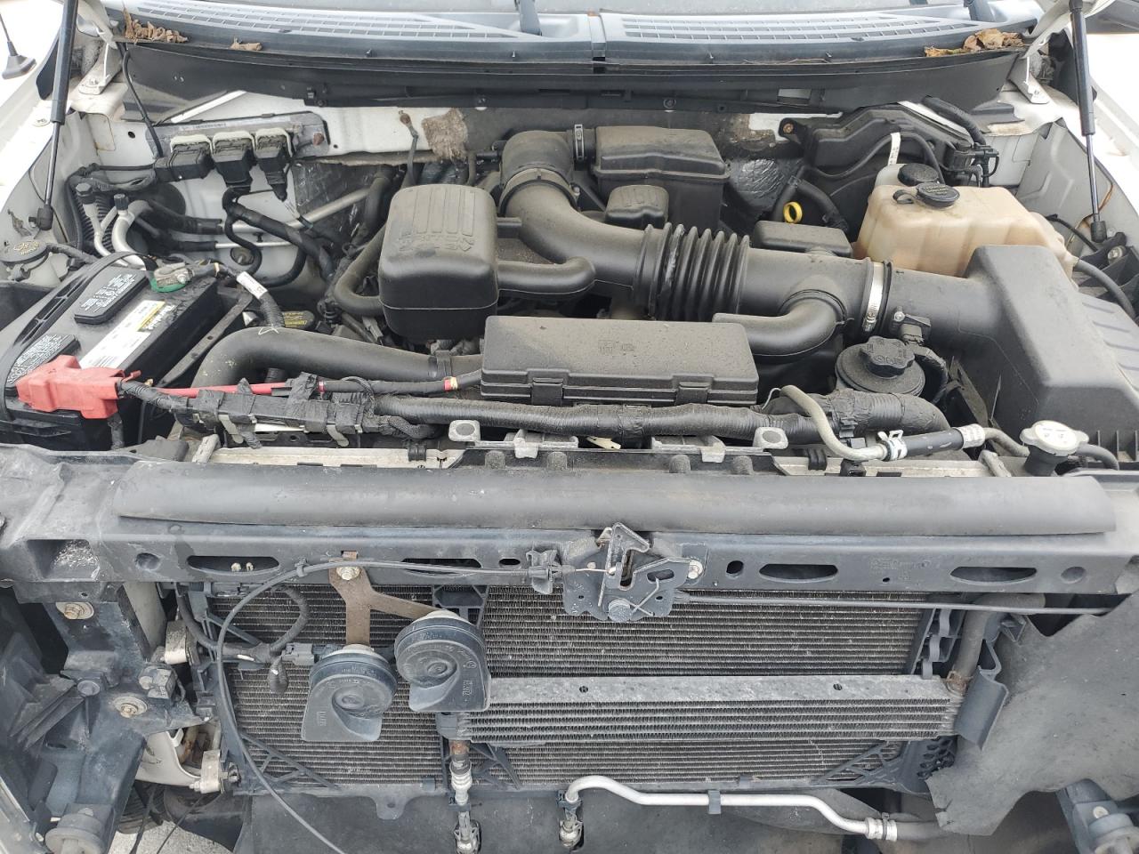 2010 Ford F150 Supercrew VIN: 1FTFW1EVXAFA64449 Lot: 65838405