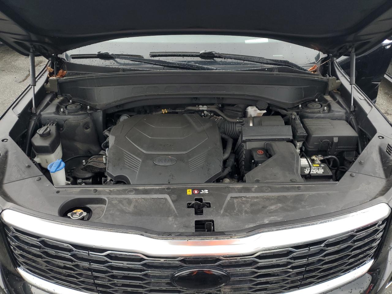 2020 Kia Telluride Sx VIN: 5XYP5DHC4LG046547 Lot: 67214825