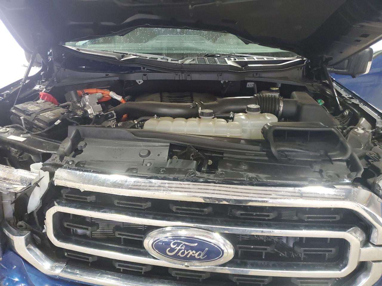 2022 Ford F150 Supercrew VIN: 1FTFW1ED4NFA56456 Lot: 67723165