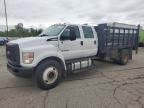 2017 FORD F650 SUPER DUTY   à vendre chez Copart MI - DETROIT