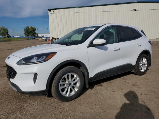 2020 FORD ESCAPE SE   for sale at Copart AB - CALGARY
